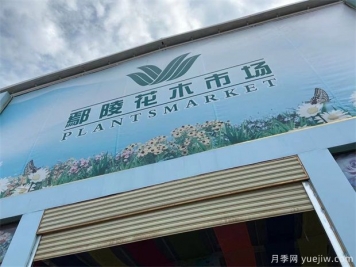 鄢陵县花木产业未必能想到的那些问题