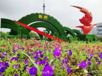 上海松江这里的花坛、花境“上新”啦!特色景观升级!